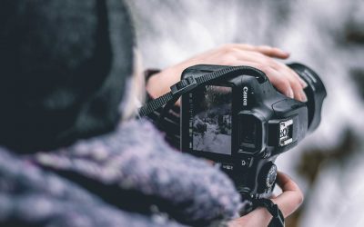 Accueil 4 Images gratuites et libres de droits