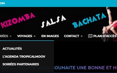 Accueil 5 Comment modifier la largeur d’un sous menu WordPress ?