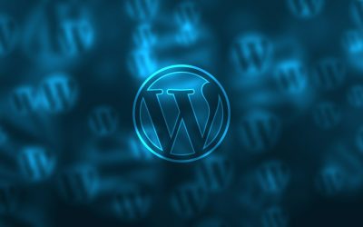 Accueil 5 Assistance site WordPress : comment s’y prendre ?