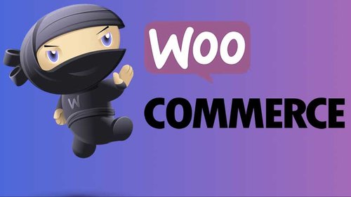 Comment utiliser WooCommerce pour DIVI ?