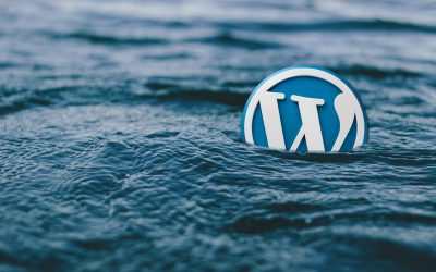Accueil 4 L’hébergement pour les sites WordPress