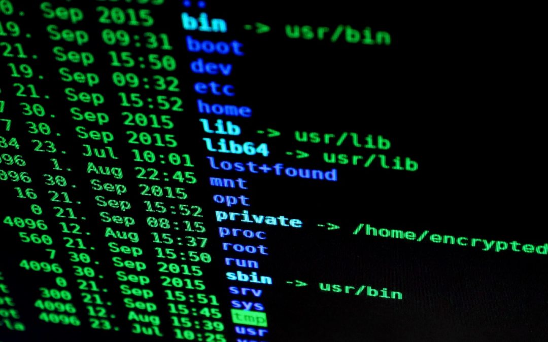 Protection des données et identité numérique : comment protéger sa vie privée ?