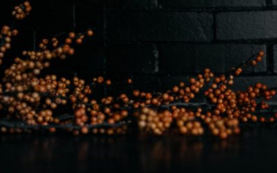 Accueil 5 theme envato