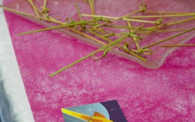 Accueil 5 wp rocket download