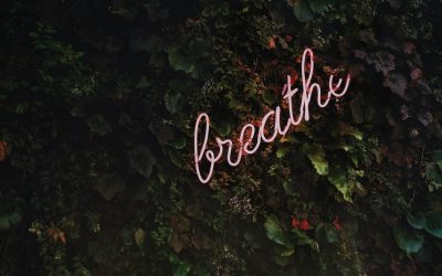 Accueil 5 wordpress calendly