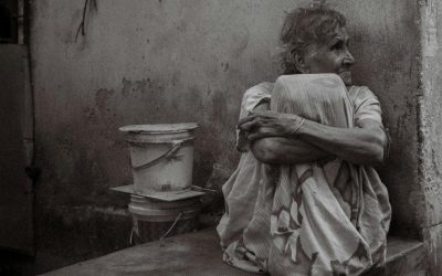 Accueil 5 soledad wordpress