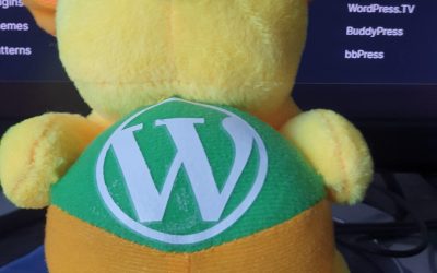 Accueil 4 buddypress wordpress