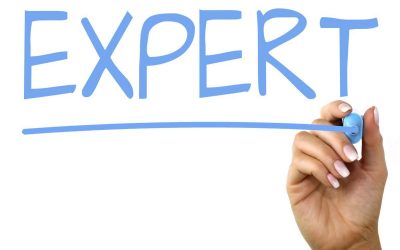 expert cms wordpress opusdomus